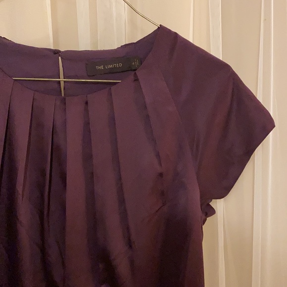 The Limited Dress - Picture 5 of 8